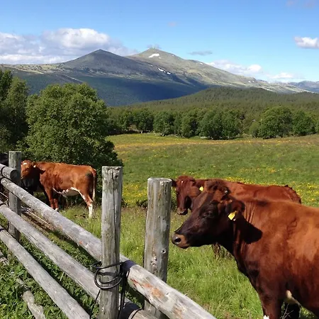 Formoseter * Høvringen