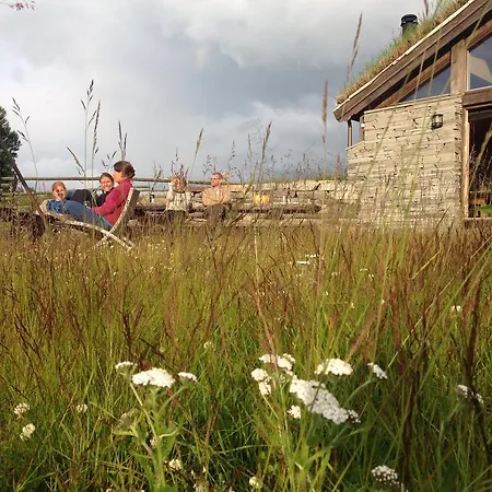 Formoseter * Høvringen